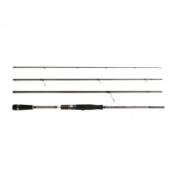 Спиннинг JS COMPANY BIXOD E2 ver.2 EGING S842XH 30-80 г 2,55 м JIG Fast